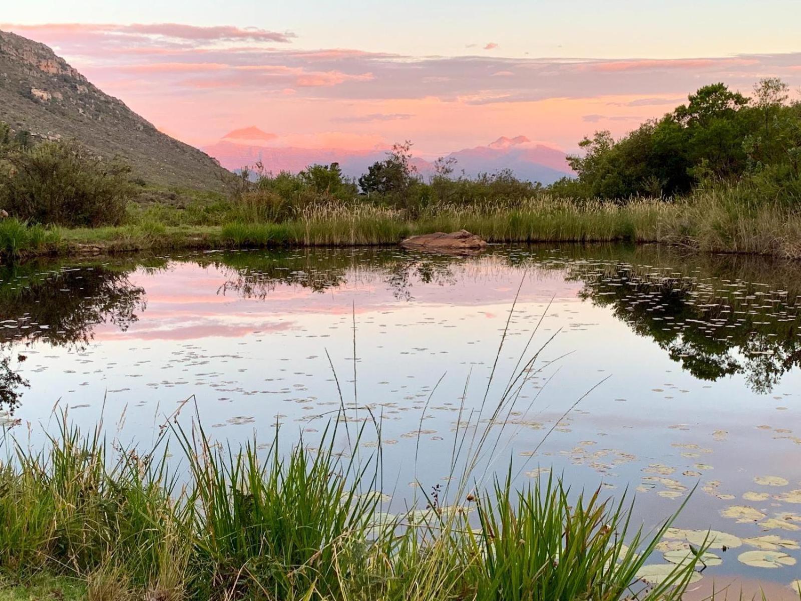 Leopard Valley Eco Retreat Citrusdal Bagian luar foto